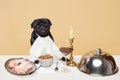 Portrait of cheerful aristocratic pug, breed dog sitting on table with different delicious meals, glass of wine