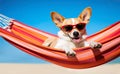 Portrait of a cheerful dog wearing sunglasses while lounging in a hammock