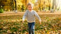 Portrait of cheerful smiling little boy running at autumn forest or park Royalty Free Stock Photo