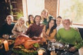 Portrait of cheery big full family brother sister grandparents grandson granddaughter grandchildren sit around served