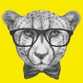 Portrait of Cheetah with glasses and bow tie.