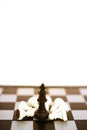 Portrait of chess pawns on the chess board game Royalty Free Stock Photo