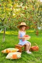 Girl in hat and dress, sits on bench, holding basket with apples Royalty Free Stock Photo