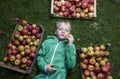 Portrait of Child blond boy lying on the green grass background with pile of apples, holding and eating apple Royalty Free Stock Photo