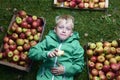 Portrait of Child blond boy lying on the green grass background with pile of apples, holding and eating apple Royalty Free Stock Photo