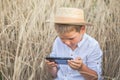 Portrait of child boy playing online games with smartphone, sitting outdoor play with phone in hand in wheat field Royalty Free Stock Photo