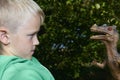 Portrait of child boy playing with toy dinosaur Royalty Free Stock Photo