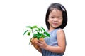 Portrait of Child girl holding coconut pot for plants, in isolated background. Royalty Free Stock Photo