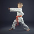 Portrait of a child with a kimono practicing karate