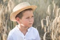 Portrait child. Little boy on a wheat field in the sunlight over sunset sky background. Fresh air, environment concept Royalty Free Stock Photo