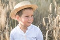Portrait child. Little boy on a wheat field in the sunlight over sunset sky background. Fresh air, environment concept Royalty Free Stock Photo