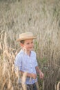 Portrait child. Little boy on a wheat field in the sunlight over sunset sky background. Fresh air, environment concept Royalty Free Stock Photo