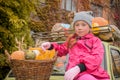 Portrait of a child next to a basket with millet corn and pumpkins. A child sits on the hood of a car and holds a small pumpkin in Royalty Free Stock Photo