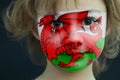 Portrait of a child with a painted Welsh flag Royalty Free Stock Photo