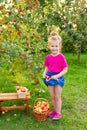 Portrait of children in apple orchard. Little girl in pink Tshirt and denim skirt, stands near branches of an apple tree and holds Royalty Free Stock Photo