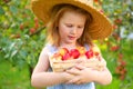 Portrait of children in an apple orchard. Little girl in straw hat and blue striped dress, holding wicker basket with apples. Care Royalty Free Stock Photo