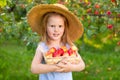 Portrait of children in apple orchard. Little girl in straw hat, blue striped dress, holding wicker basket with apples Royalty Free Stock Photo