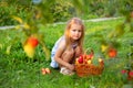 Portrait of children in apple orchard. Little girl in striped dress sits near basket of apples