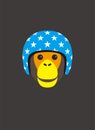 Portrait of chimpanzee, wearing motorcycle helmet , cool style