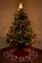 Portrait of a Christmas tree Royalty Free Stock Photo