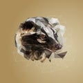 Portrait of a civet Viverra, in the low poly technique Royalty Free Stock Photo