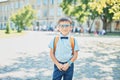 Smart little schoolboy in glasses in shirt and butterfly