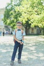 Smart little schoolboy in glasses in shirt and butterfly