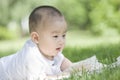 Portrait of close-up of a baby Royalty Free Stock Photo