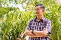 Close-up shot of middle-aged Asian male model with short black hair wearing a plaid shirt Royalty Free Stock Photo