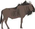 Portrait of a common wildebeest, standing, viewn from side Royalty Free Stock Photo