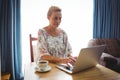 Portrait of concentrated senior woman using a laptop