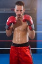 Portrait of confident male boxer in fighting stance Royalty Free Stock Photo