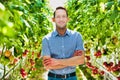 Portrait of confident supervisor standing with arms crossed against tomatoes in greenhouse