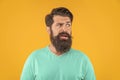 portrait of confused bearded man isolated on yellow. portrait of bearded man in studio. Royalty Free Stock Photo