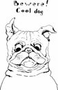 Portrait of cool Pug dog. Hand drawn dog. Sketch. Vector illustration Royalty Free Stock Photo