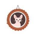 Portrait of cornish rex cat in picture frame hanging, flat vector illustration isolated on white background.