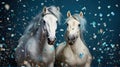 Portrait of couple beautiful white horses in studio with confetti decorations isolated on blue background