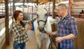 Portrait of couple cleaning horse while standing at stabling