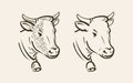 Portrait of cow with bell. Dairy farm, animal symbol or icon. Sketch vector illustration