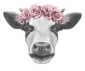 Portrait of Cow with floral head wreath. Royalty Free Stock Photo