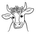 Portrait of cow with flowers on head. Black and white illustration in outline style. Vector Cute cow Face Isolated on Royalty Free Stock Photo