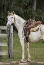 Portrait of a cowboy horse ready for work Royalty Free Stock Photo