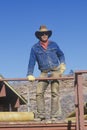 Portrait of a cowboy, Loveland, CO