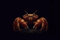 portrait of a crab isolated on black background with copy space. ai generative