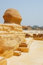 Portrait crop of the famous Sphinx of Giza, from the rear angle looking towards Cairo, Egypt.