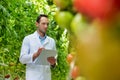 Portrait of crop scientist writing on clipboard while looking at tomatoes growing in greenhouse