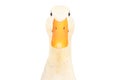 Portrait of a curious duck Royalty Free Stock Photo