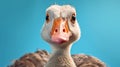 Portrait of a curious goose, closeup, AI