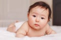 Asian mixed race baby girl four months old lying on tummy on bed in bedroom looking in camera Royalty Free Stock Photo