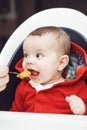 Portrait of cute adorable Caucasian little baby boy sitting in high chair in kitchen eating meal puree Royalty Free Stock Photo